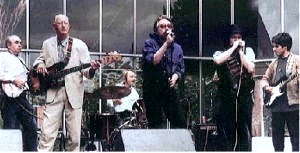 The De Luxe Blues Band